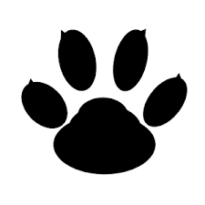 Call Recorder – Boldbeast